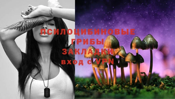 ПСИЛОЦИБИНОВЫЕ ГРИБЫ Балахна
