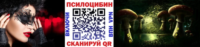 omg зеркало  Пугачёв  Галлюциногенные грибы Cubensis 